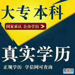 寶安松崗學上教育 高升專專升本專業選擇，一年高效助力學歷提升